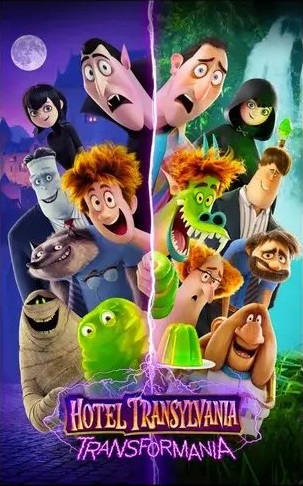 i6 - copia (11).webp